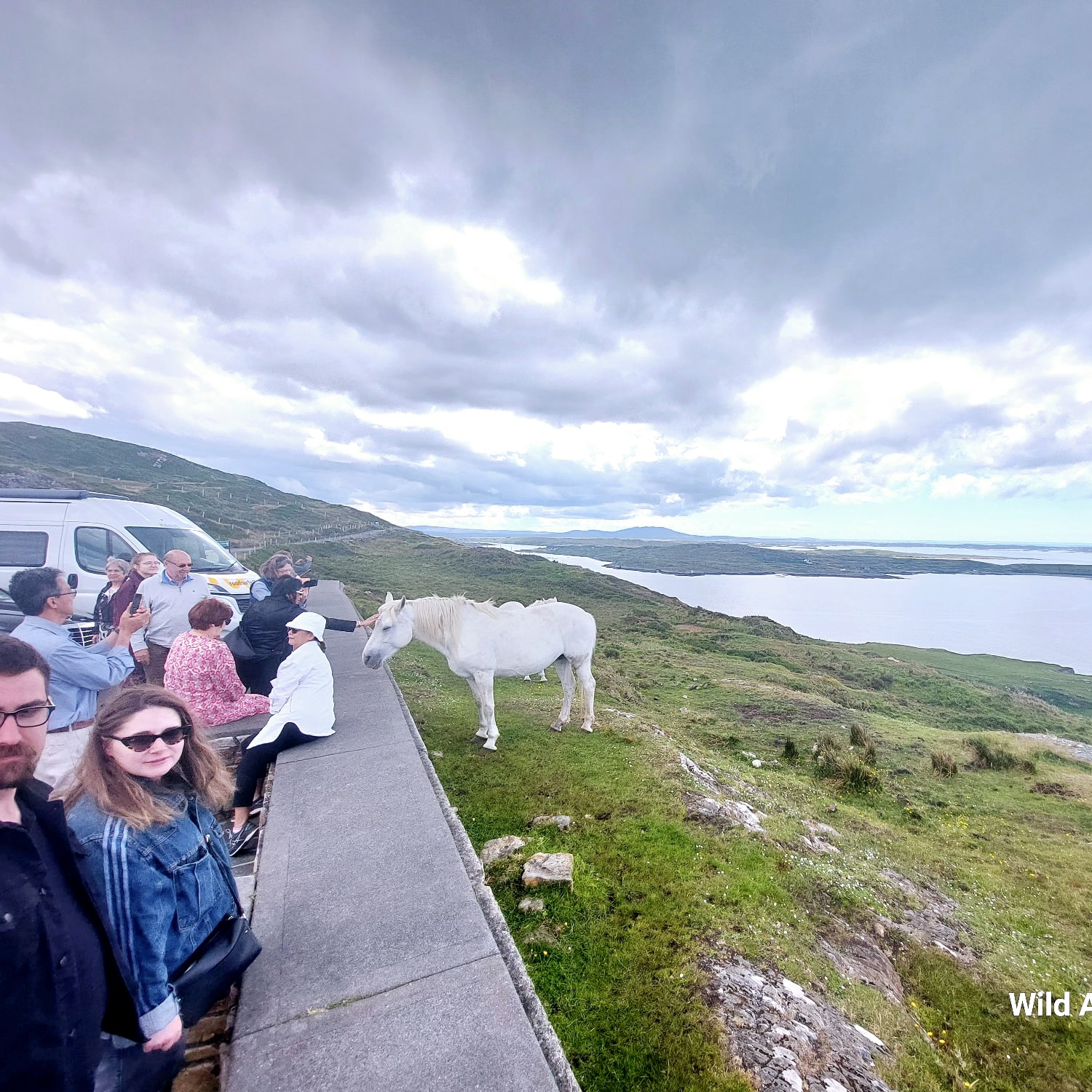 Wild About Ireland Tours 7
