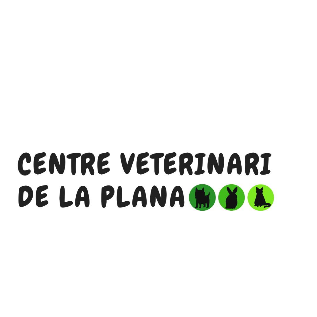 Centre Veterinari De La Plana Castellón de la Plana