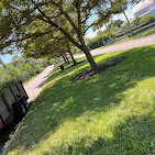 Images Aurora Arbor Care