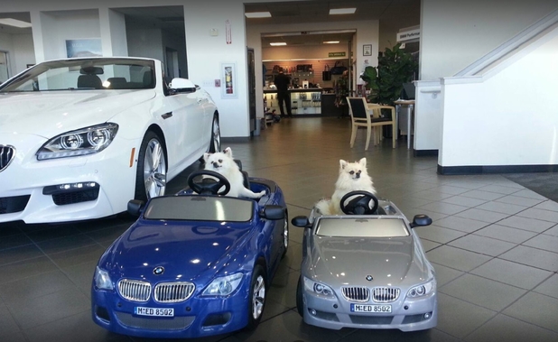 Images BMW San Luis Obispo