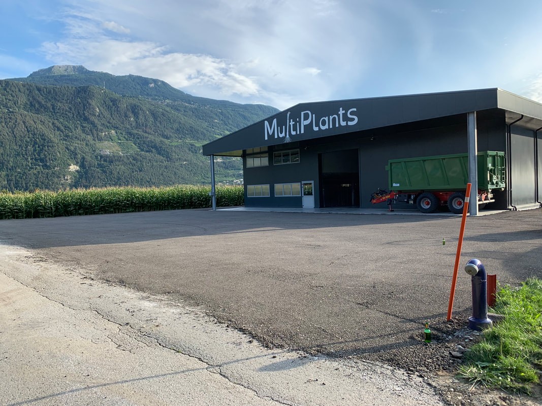 Multiplants Sàrl, Route des Charmilles 42 in Vétroz