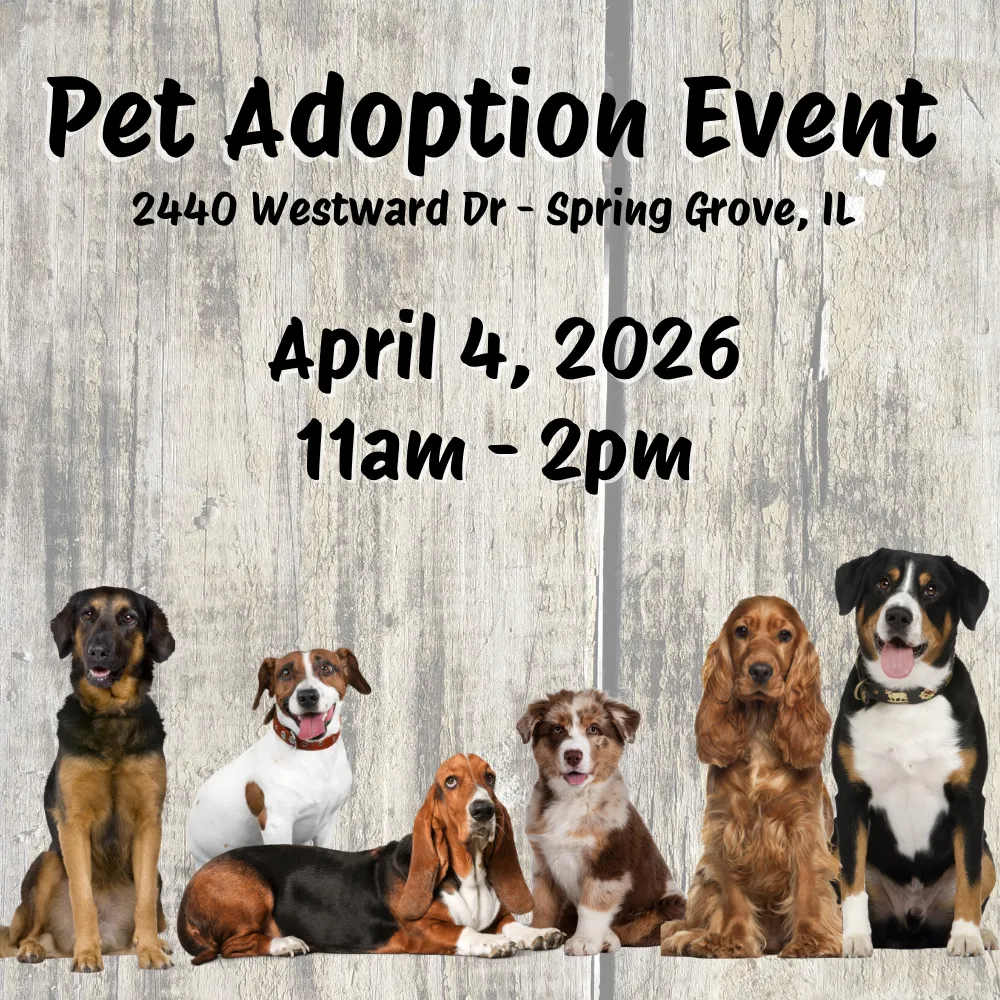 Image of Local Pet Event Pet Adoption Event Nearby