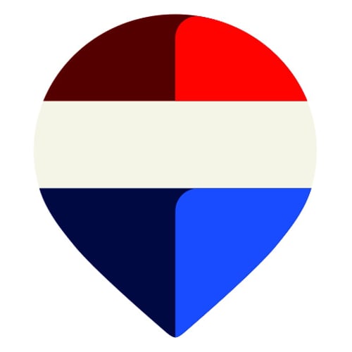 REMAX Dynamic Logo