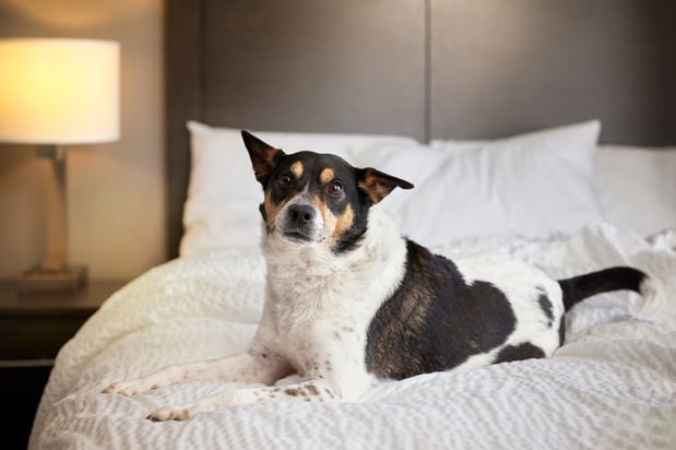 Images Garner Hotel Oklahoma City - Quail Springs by IHG