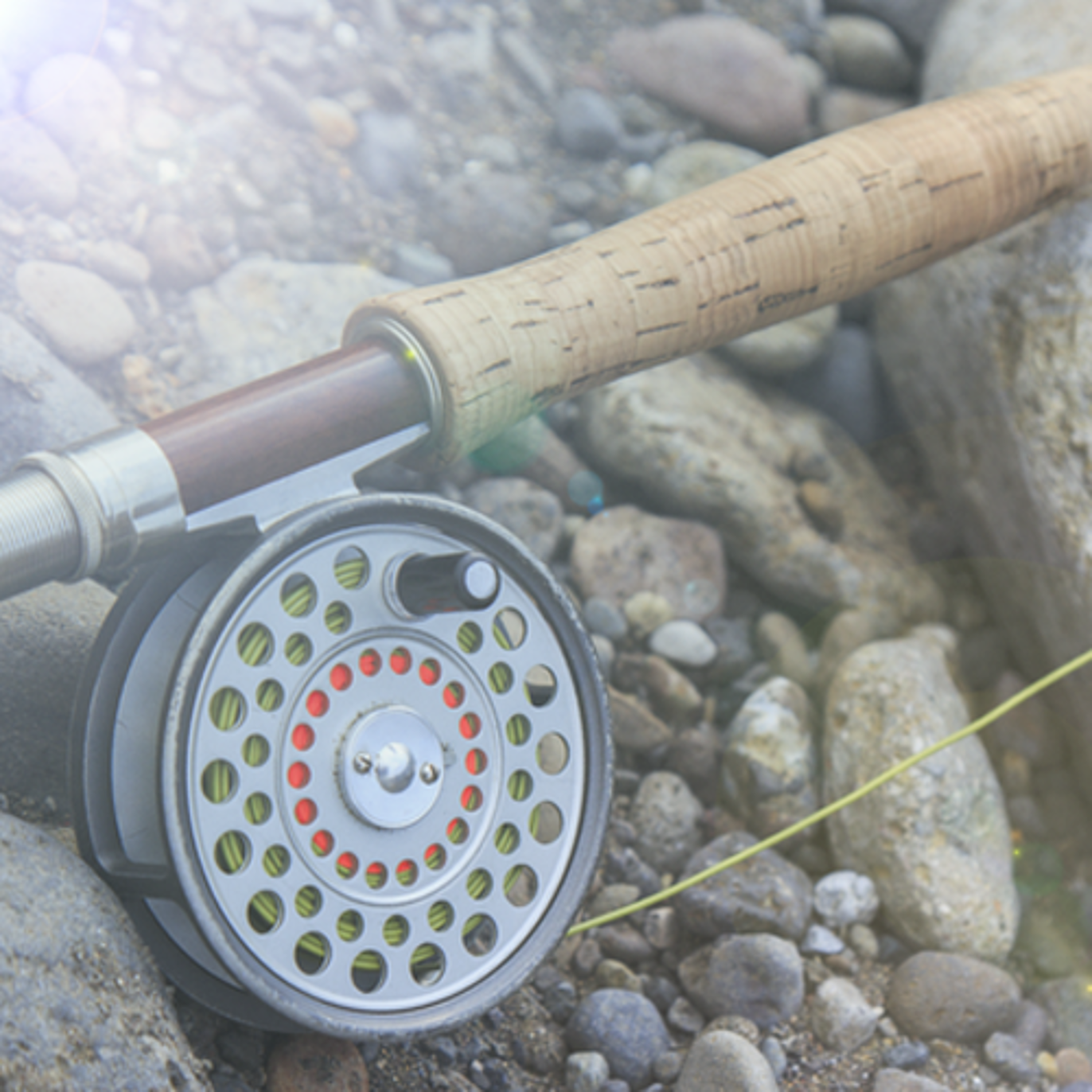 Images Haugen Camping