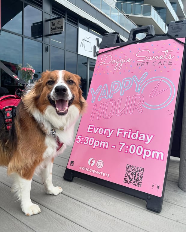 Images Doggie Sweets