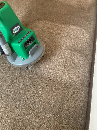 Images White River Chem-Dry