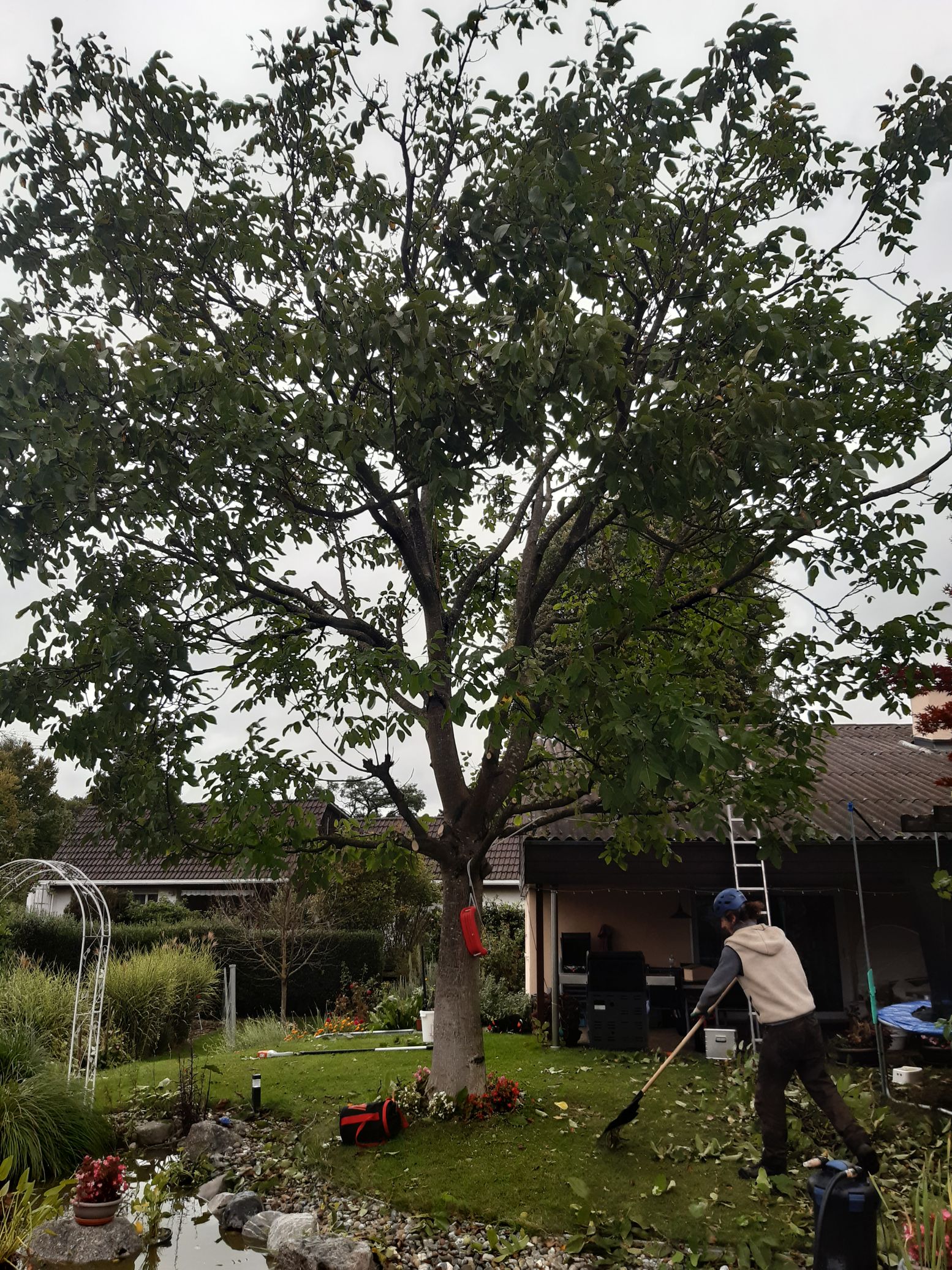 Bilder Blattert Garten- und Rasenpflege GmbH