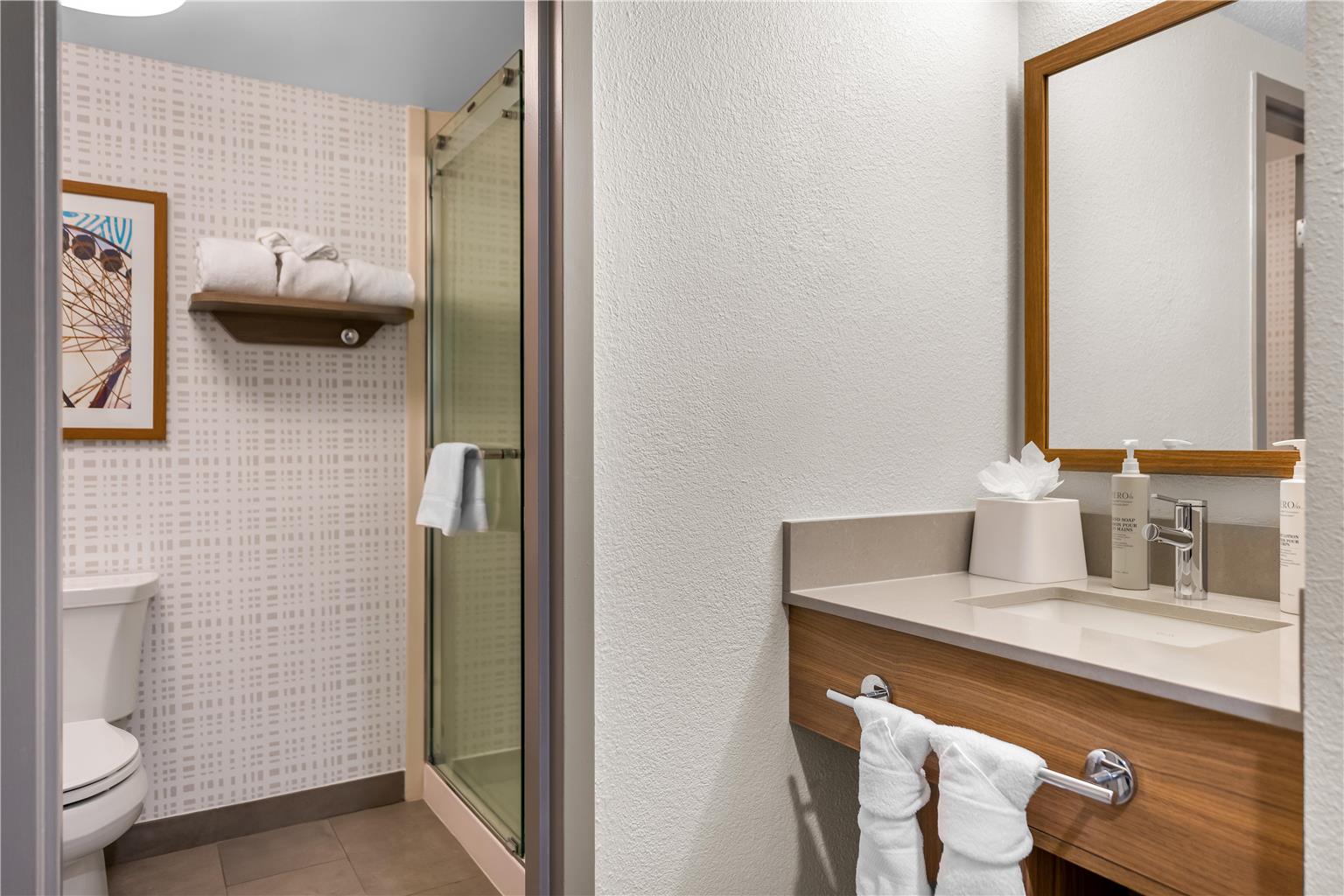 Guest room bath