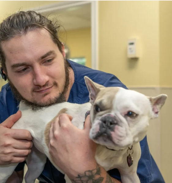 Images Oak Forest Veterinary Hospital