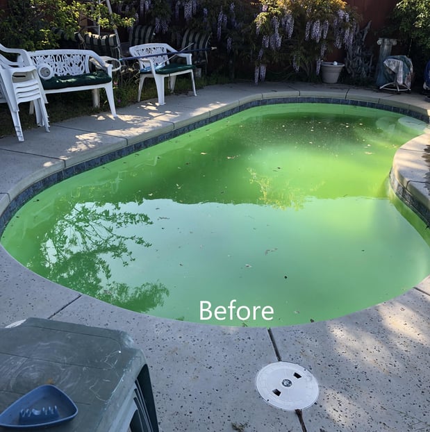 Images Nearby Pool Service