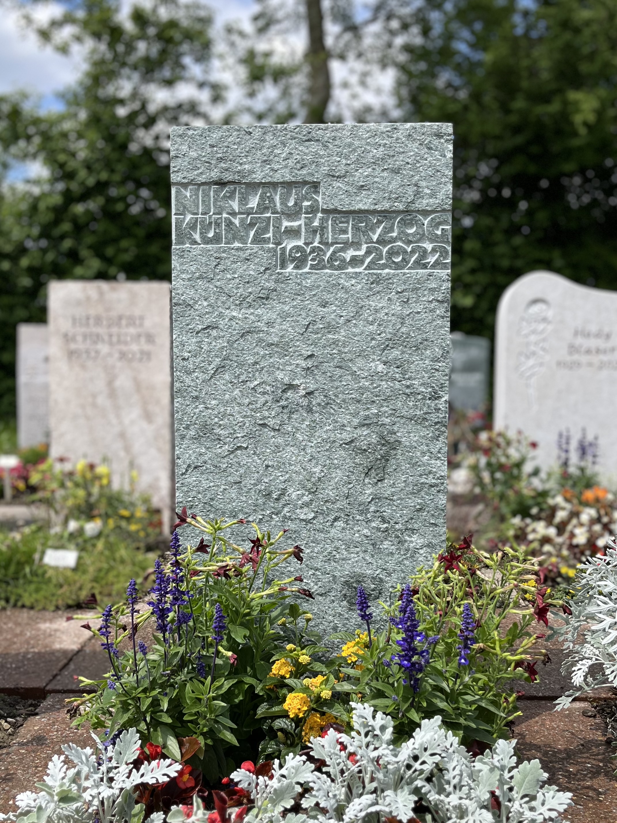Bilder Honauer Philipp