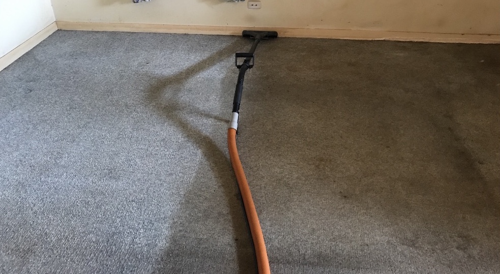 Images Keith Irvin Quick-Dry Carpet Cleaning