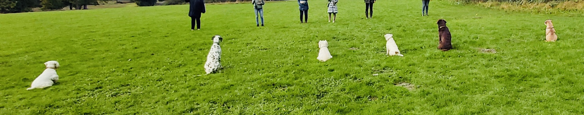 Hundecollege Hamburg, Farnstieg 9 in Hamburg