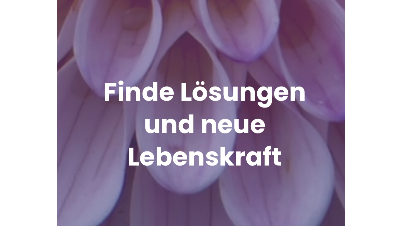 Carmen Kraffert/ System- und Familienaufstellungen in Karlsruhe - Logo