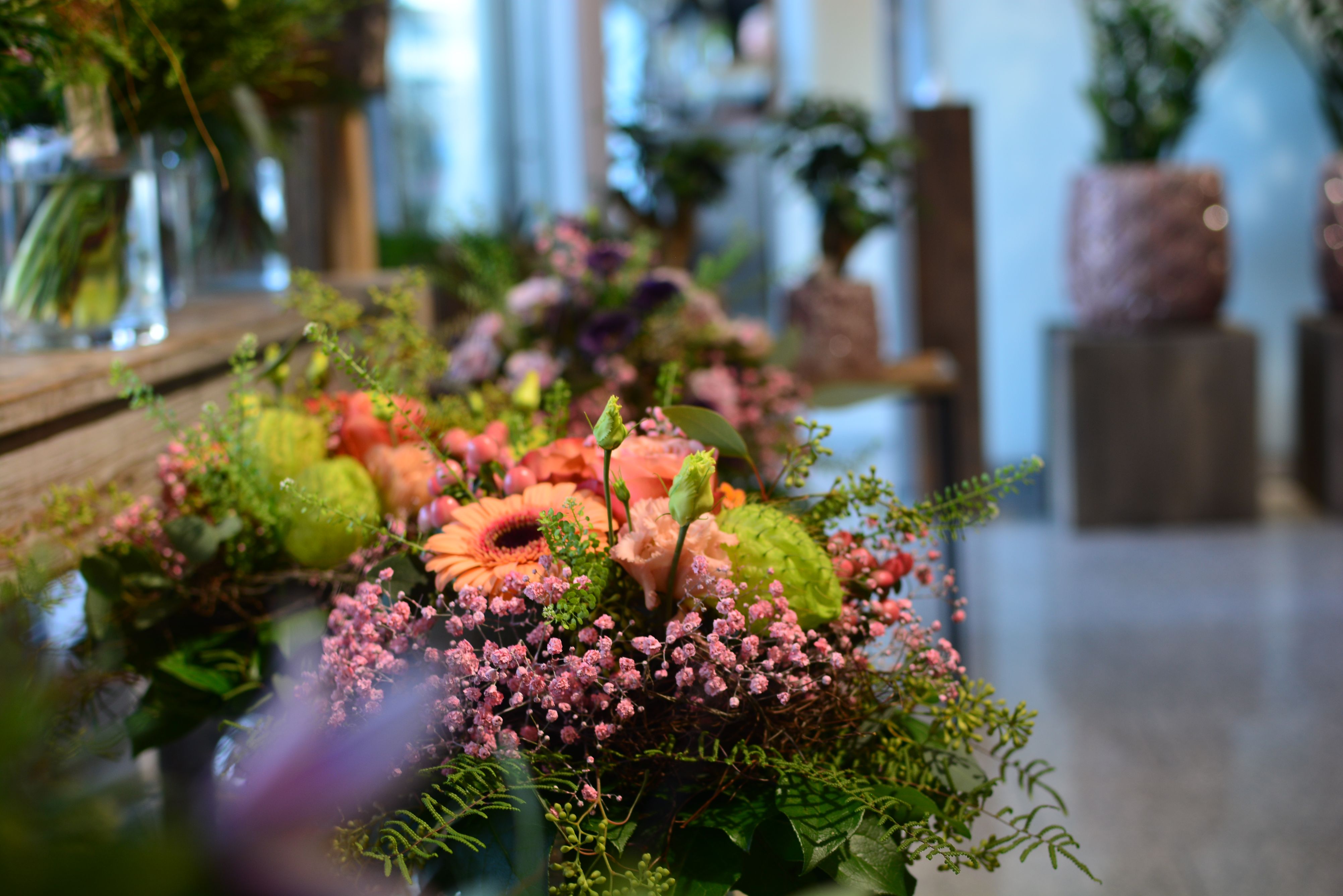 Bilder Schneebeli Blumen & Garten