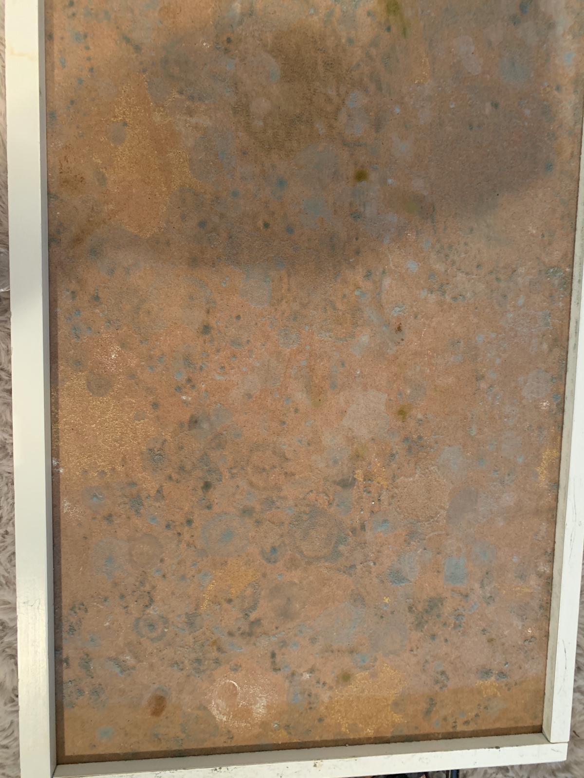 Images MouldMen - Mould Gone