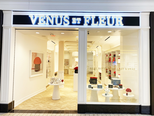 Images Venus ET Fleur