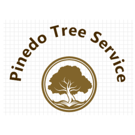 Pinedo Tree Service