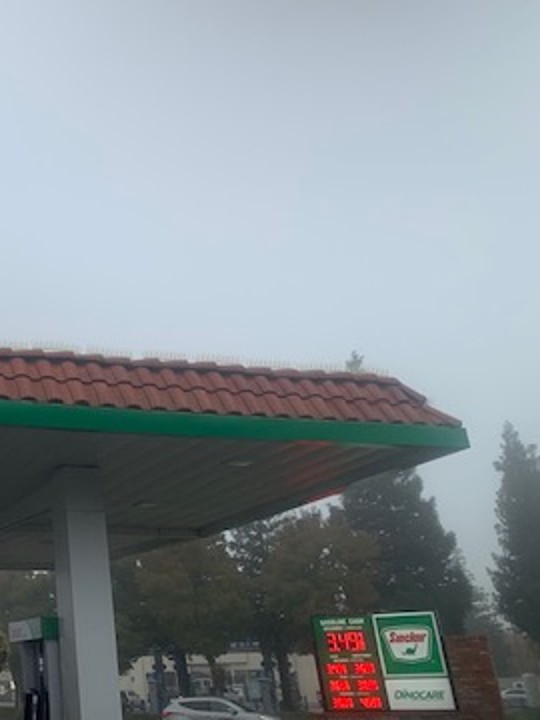 Sinclair Gas Station Image