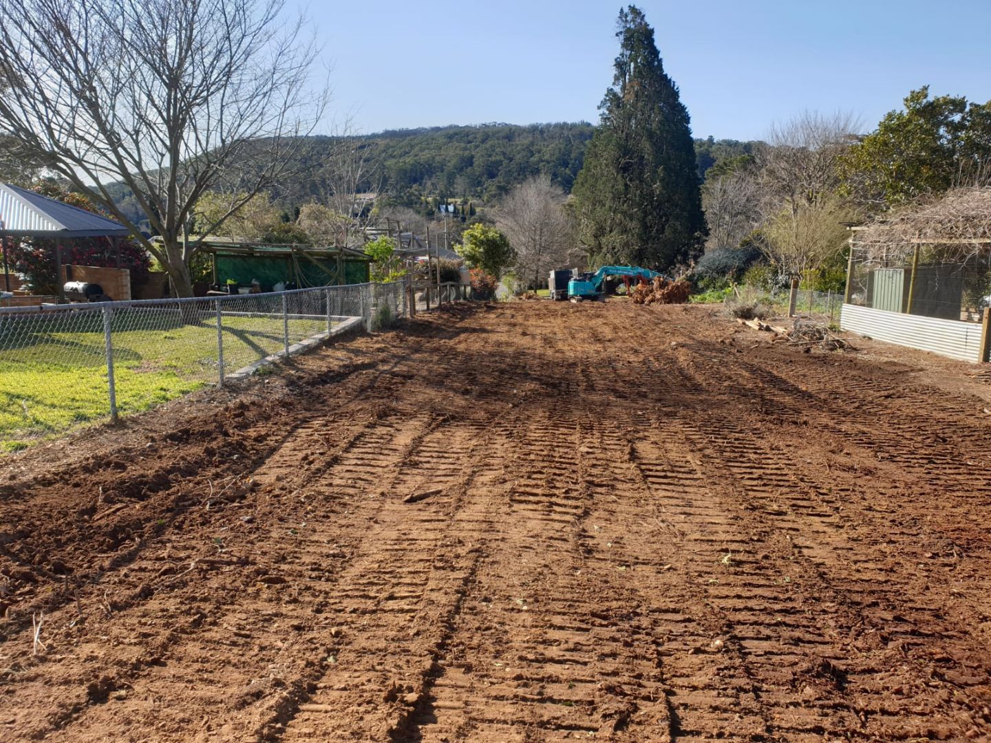 Images Above All Arbor