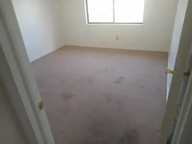 Images R & M Trash Removal