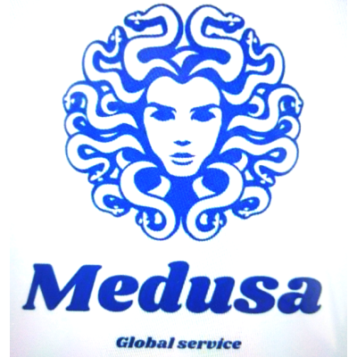 Medusa Global Service Srls - Vigilanza Logo