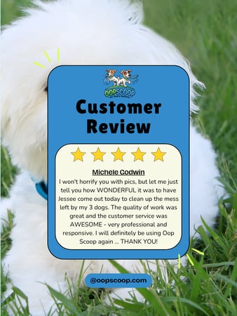 Images Oop Scoop Pet Waste Removal