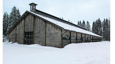 Images Lallin Lammas Oy