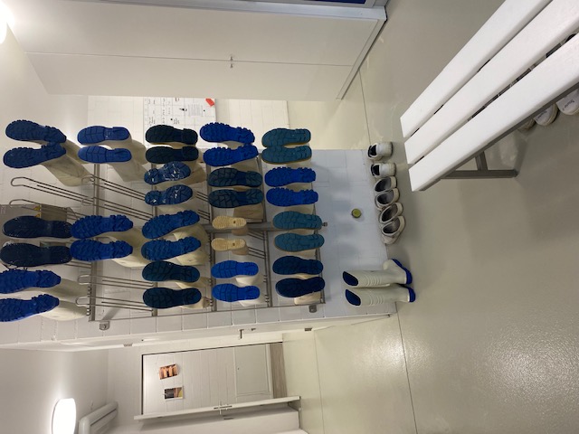 Sinova Reinigung GmbH, Gewerbestrasse 1 in Winterthur