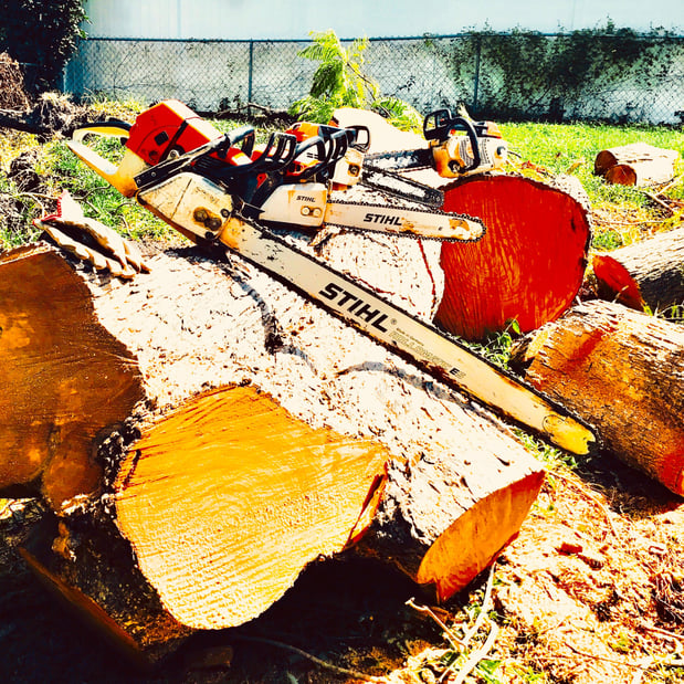 Images Troyer Tree Service