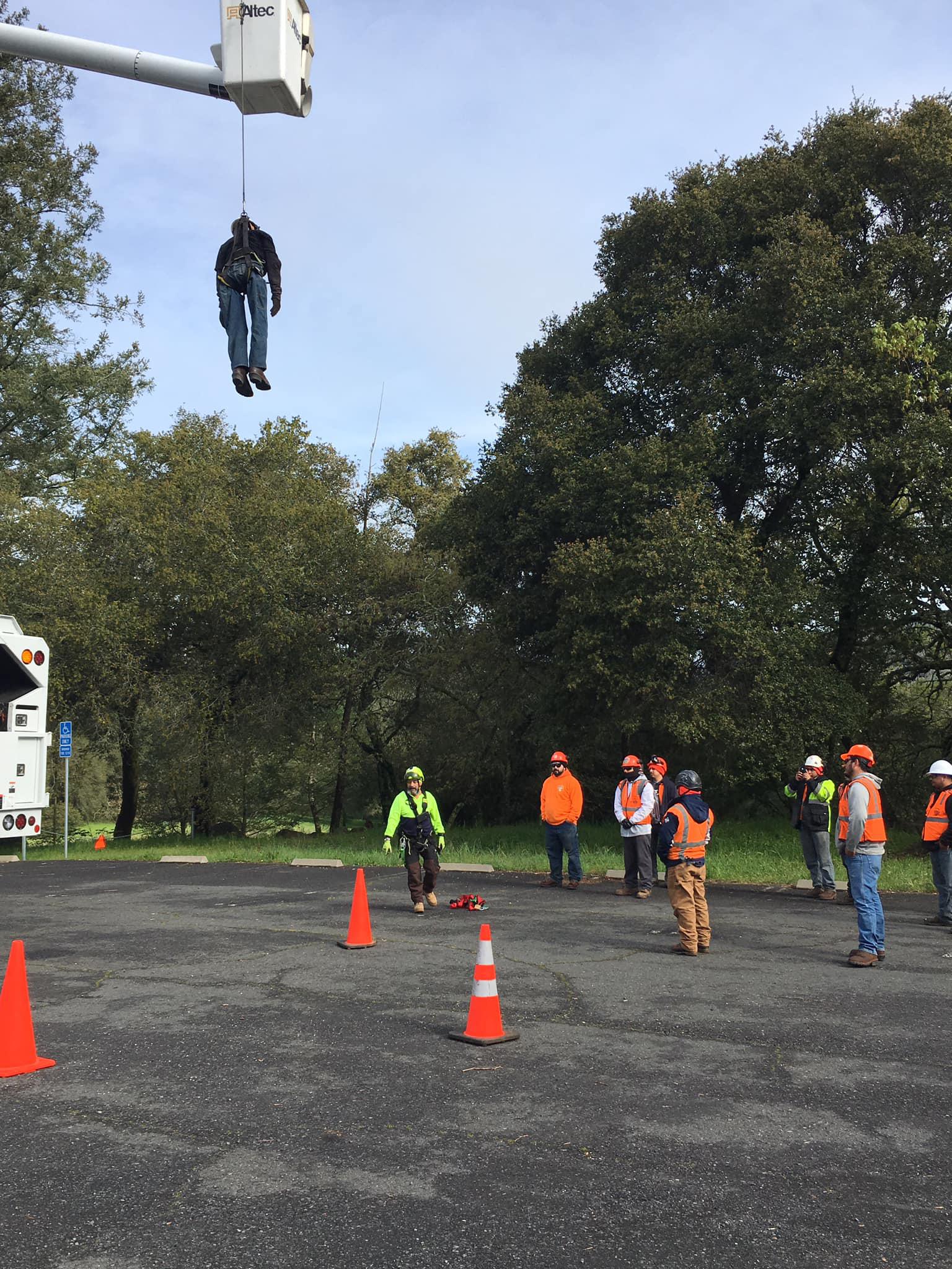 AAA Tree Service Photo