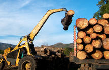 Korb Schmierstoffe GmbH, Querenteichstrasse 8 in Bischofsheim