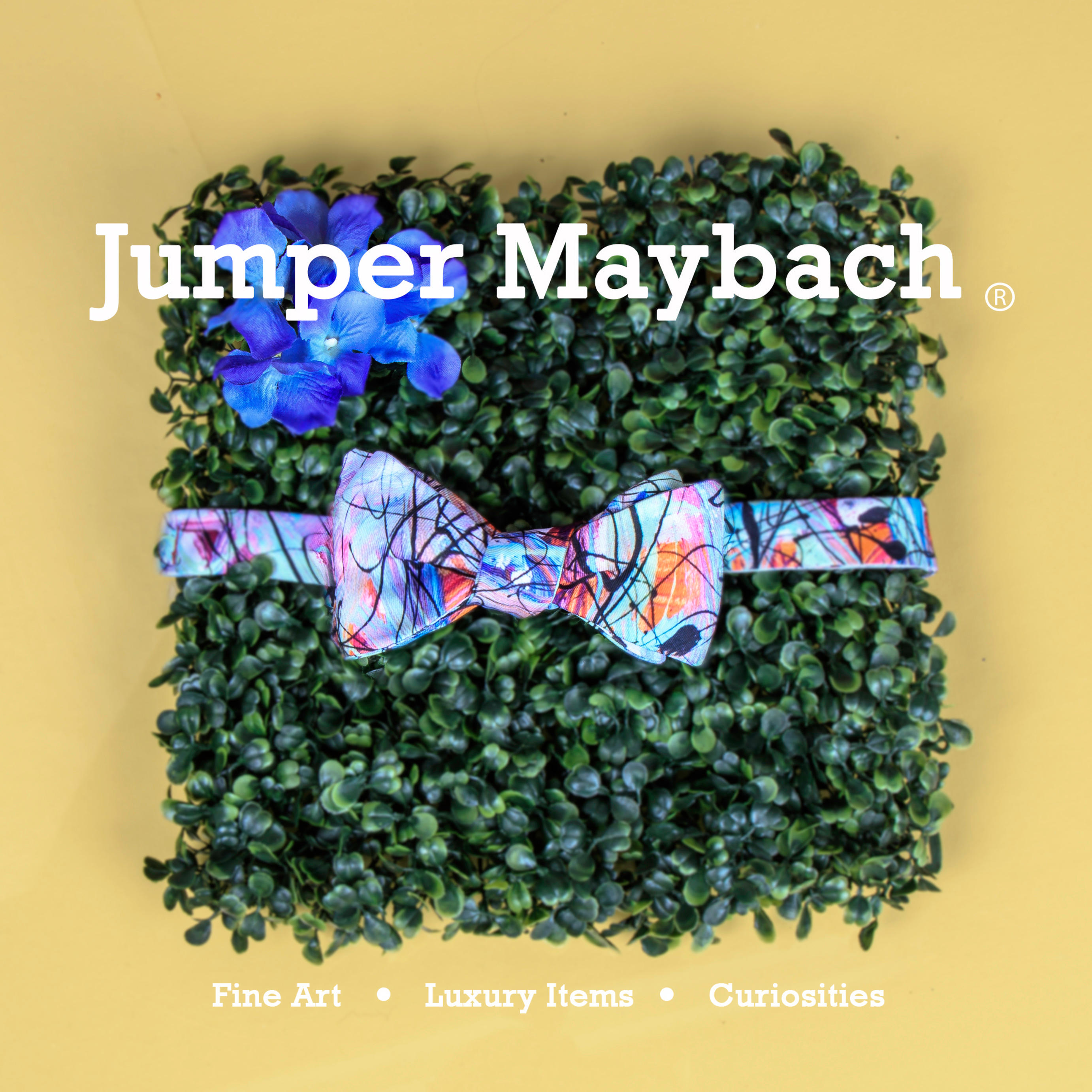 Jumper Maybach Fine  Art Boutique Photo