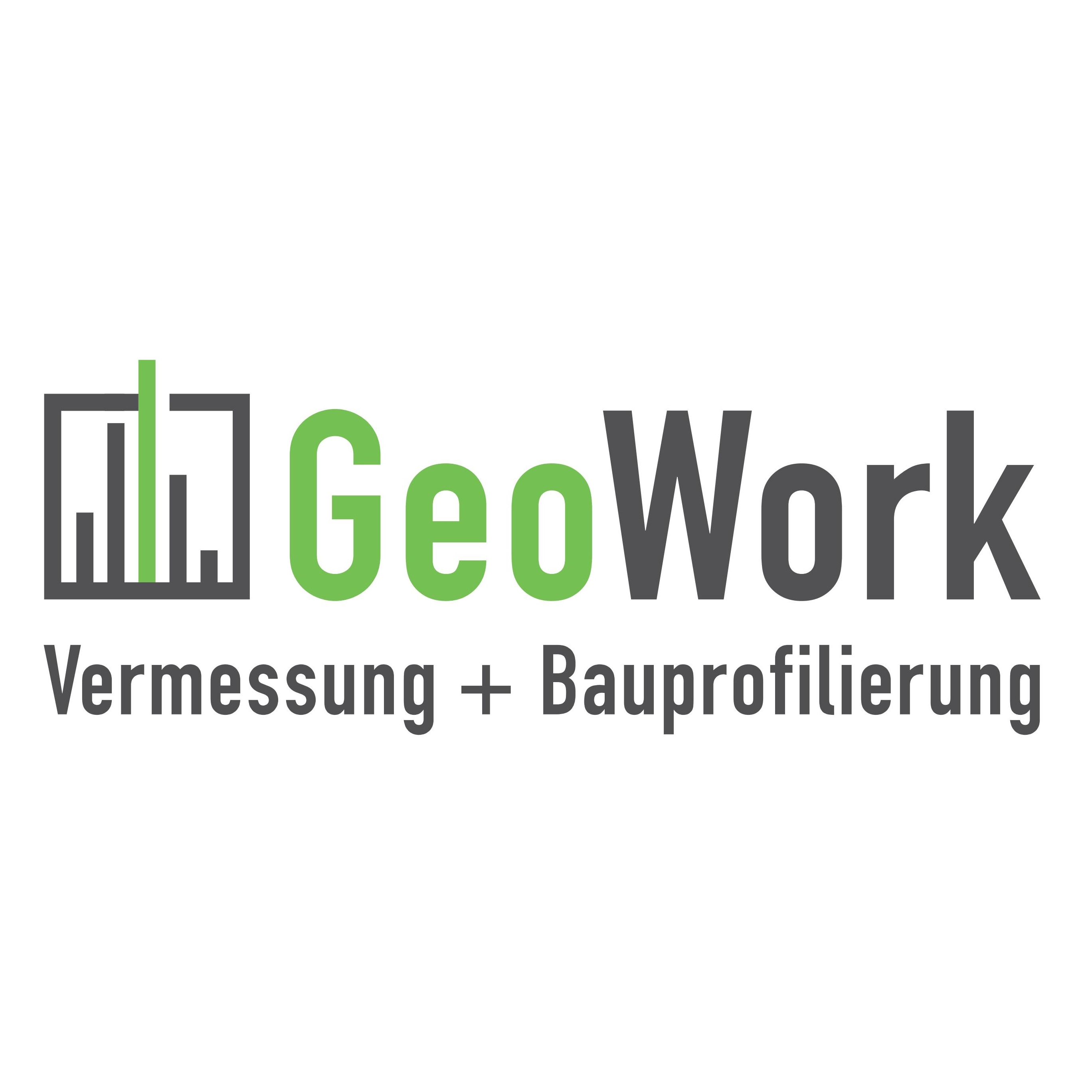 GeoWork AG Logo
