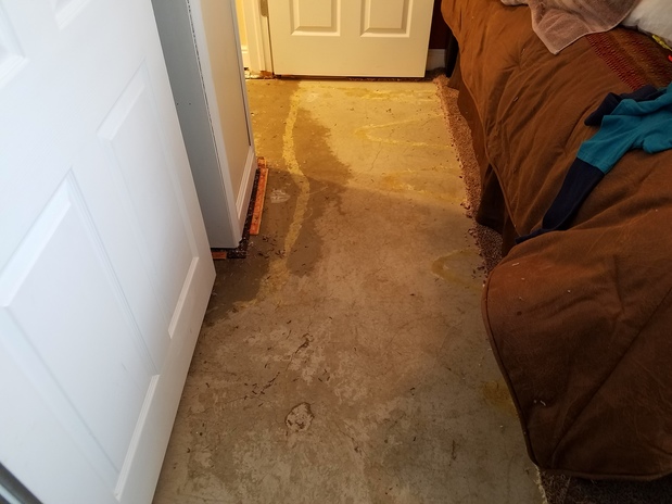 Images Five Point Restoration