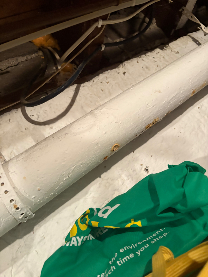 Images DrainCam Plumbing