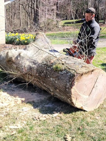 Images Fine Cut & Trim