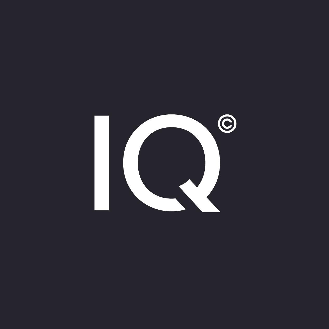 Logo Online Marketing, Webdesign, SEO: IQONIC Werbeagentur