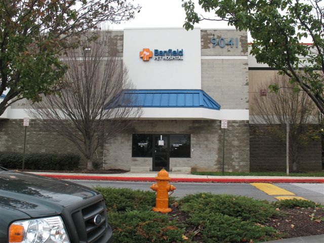 Banfield Pet Hospital - Columbia