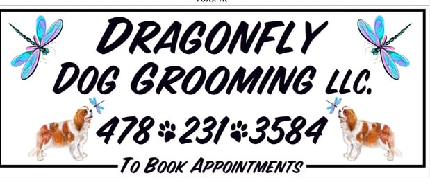 Images Dragonfly Dog Grooming LLC