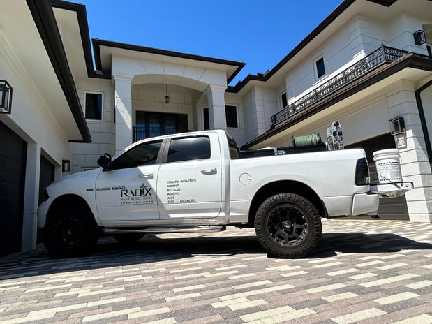 Images Radix Pest Solutions