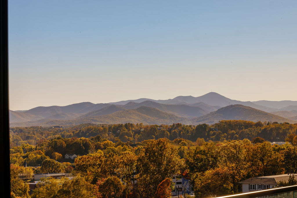 Wildwood Still Image