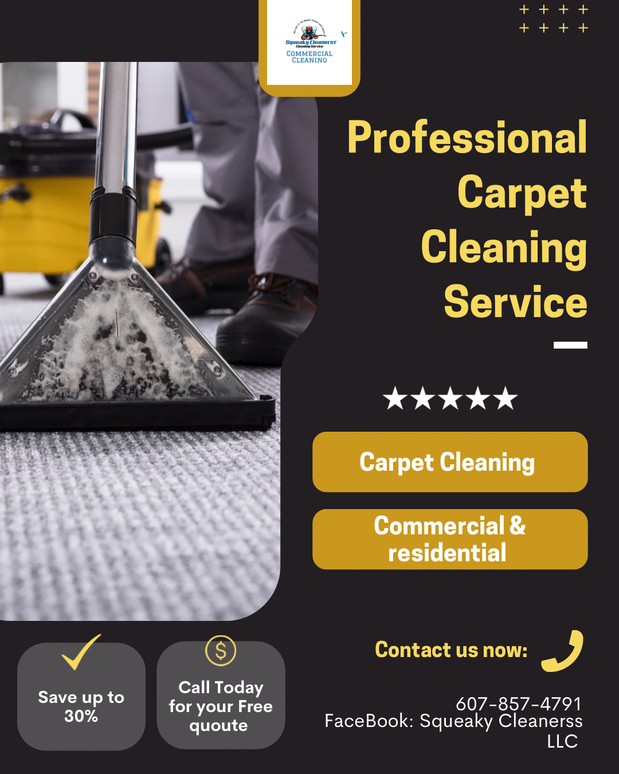 Images Squeaky Cleanerss