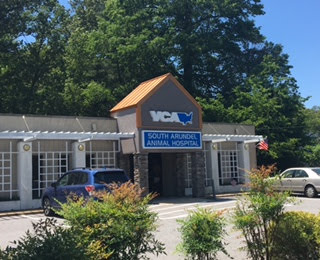 Welcome to VCA South Arundel Veterinary Hospital!