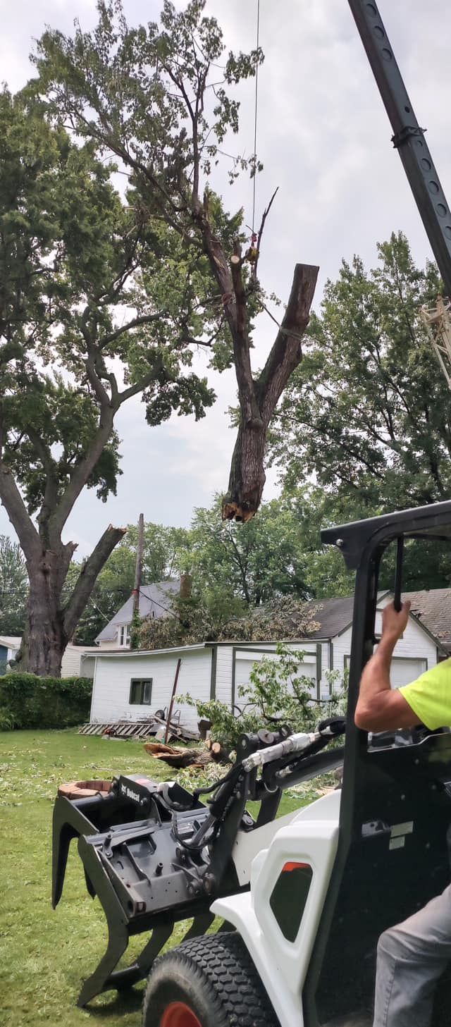 We provide emergency tree services to help homeowners and property managers address urgent issues caused by storms, damage, or fallen trees. At Lucca Landscaping & Construction LLC, we respond quickly and work efficiently to secure your property and restore safety. Our team is prepared to handle critical situations with the care and urgency they require. When time matters most, we’re ready to help.