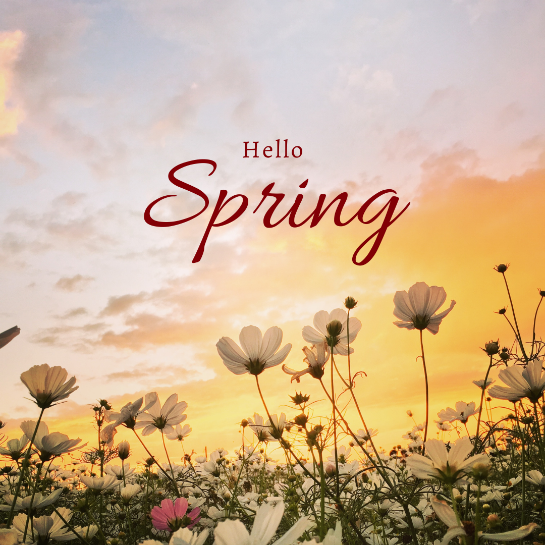 Spring: where every bud is a promise, and every breeze carries the scent of new beginnings. Let's welcome it with open arms! 🌱🌸 #SpringPromise