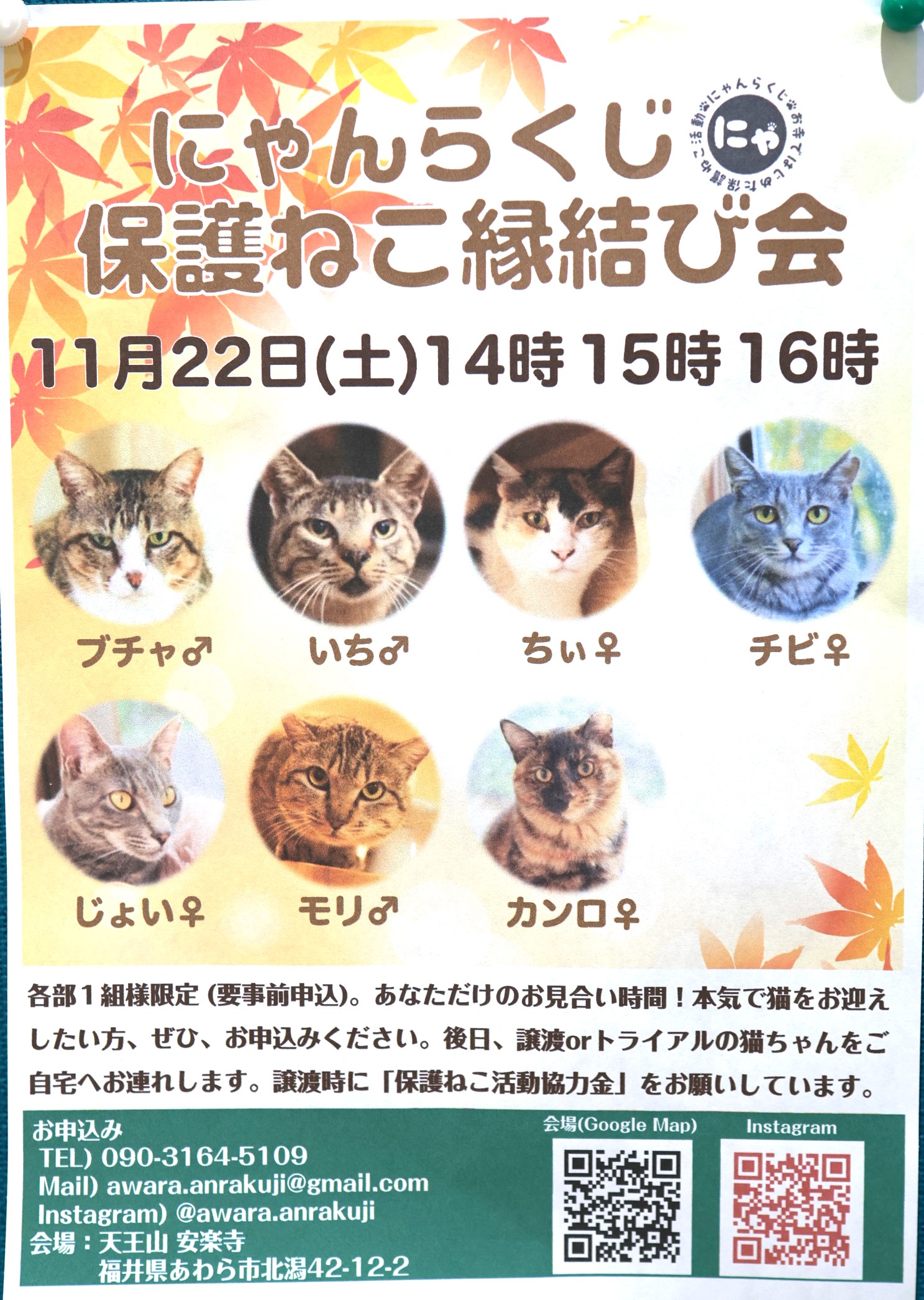 Images 松崎動物病院