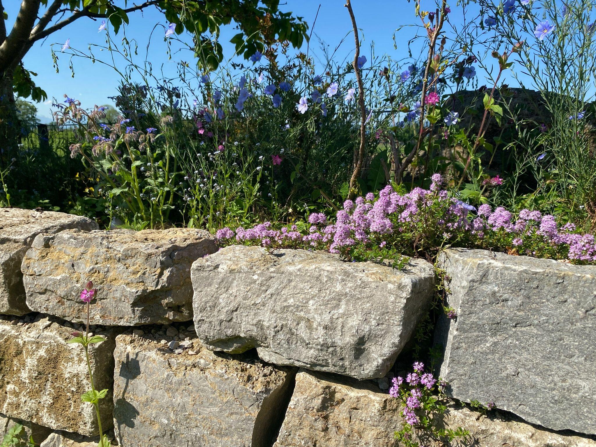 Bilder erdwerk Gartengestaltung