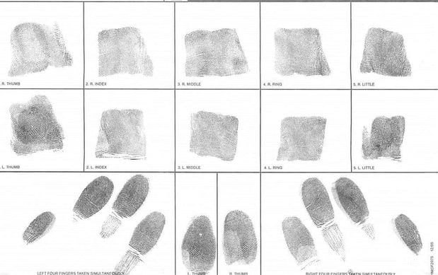 Images RAKA Insurance Services & Fingerprinting